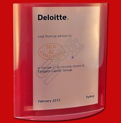 Deloitte Dijital Baskılı Akrilik Malzeme Özel Plaket
