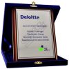 Deloitte Logolu Kadife Kutulu Gümüş İş Birliği Plaketi