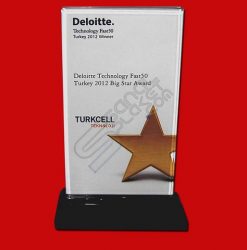 Deloitte Technology Fast Kristal Cam Plaket Ödül