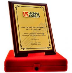 Kabartma Logolu Altın İş Birliği Plaketi