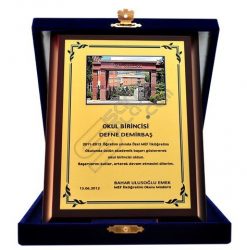Sarı Metal Baskılı Resimli Birincilik Plaketi