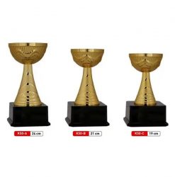 Ödül Kupası K50 -Derece Kupaları